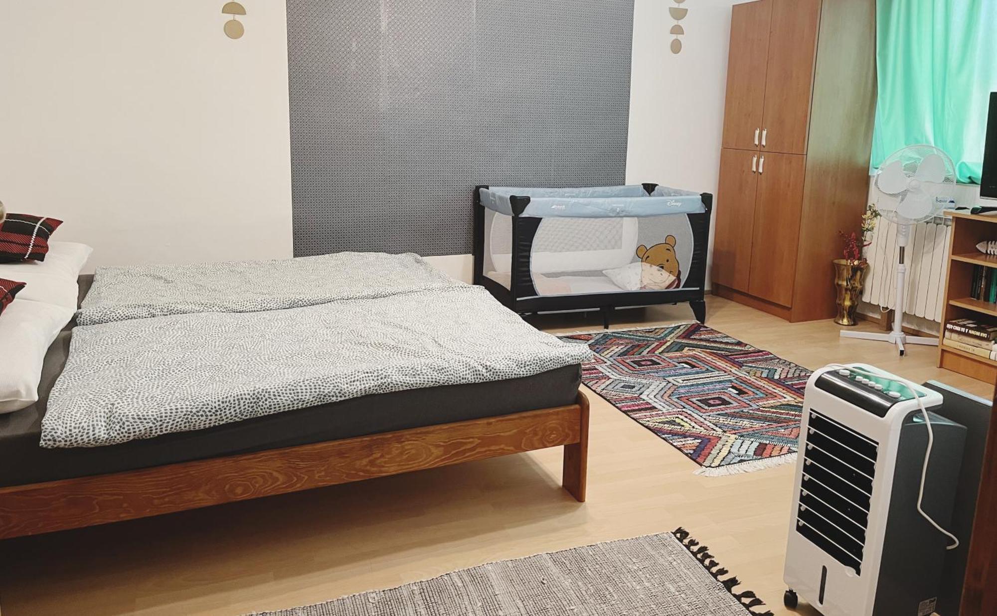 Teesz Vendeghaz Apartment Zalahashagy Bagian luar foto