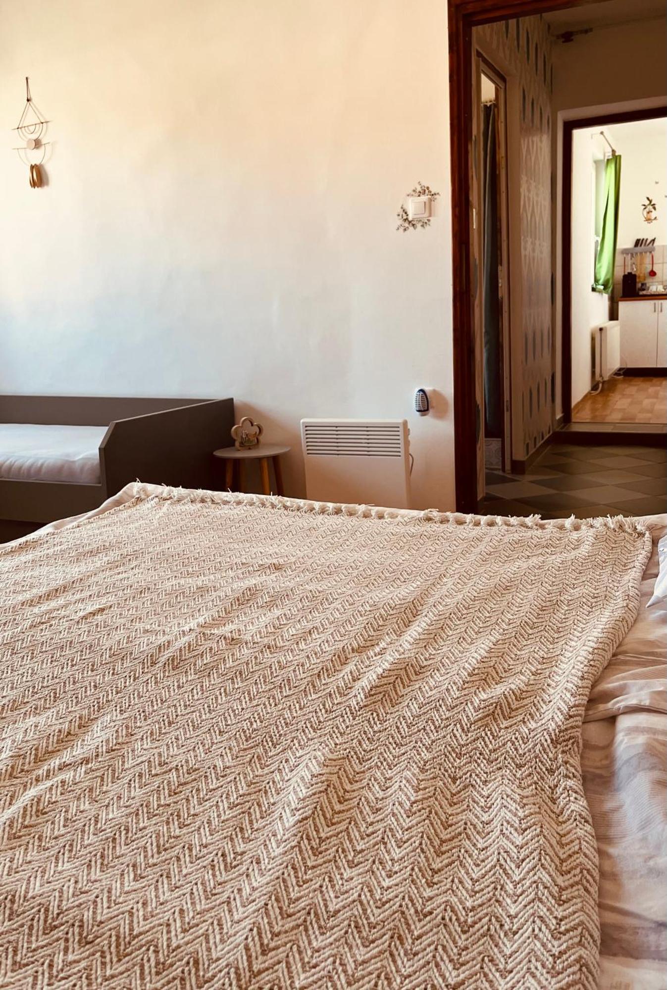 Teesz Vendeghaz Apartment Zalahashagy Bagian luar foto