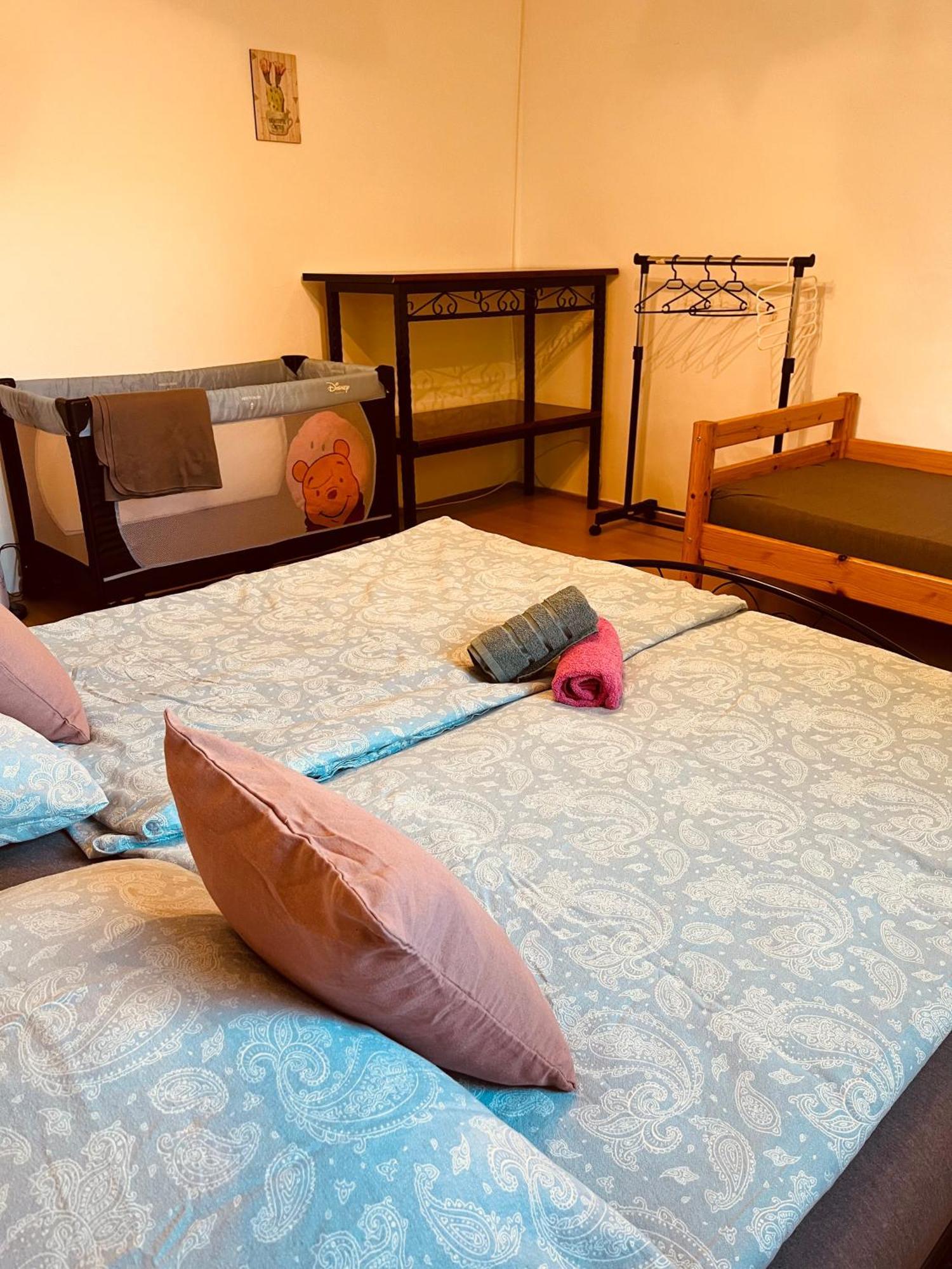 Teesz Vendeghaz Apartment Zalahashagy Bagian luar foto